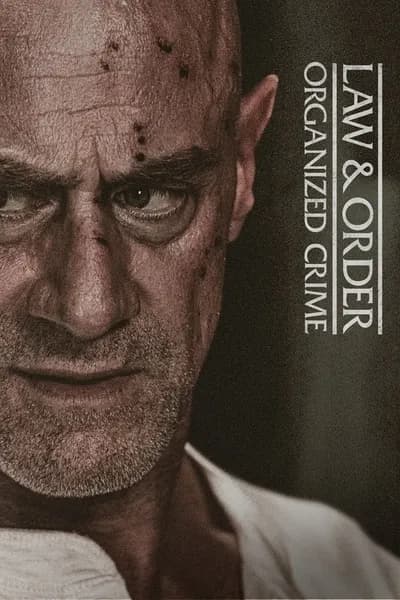 Endlich Gewissheit: Law & Order Organized Crime Staffel 6