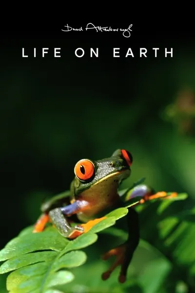 Warum Life on Earth zum 100. Geburtstag zurückkehrt