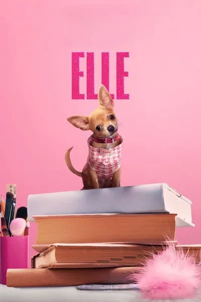 Von Garbage bis Queen: Der komplette Soundtrack zu Elle Staffel 1