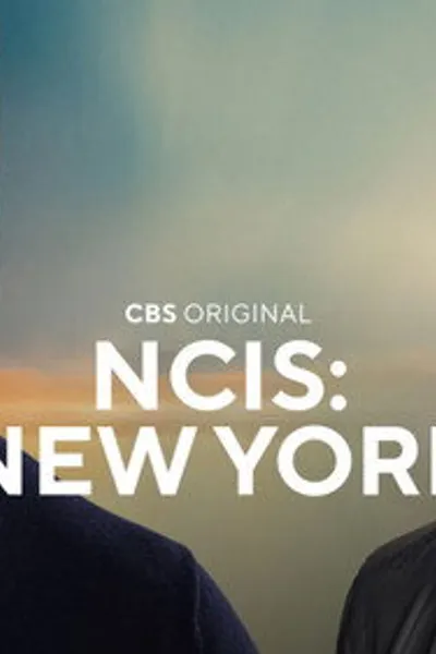 Darum gibt es NCIS: New York statt Tony & Ziva Staffel 2