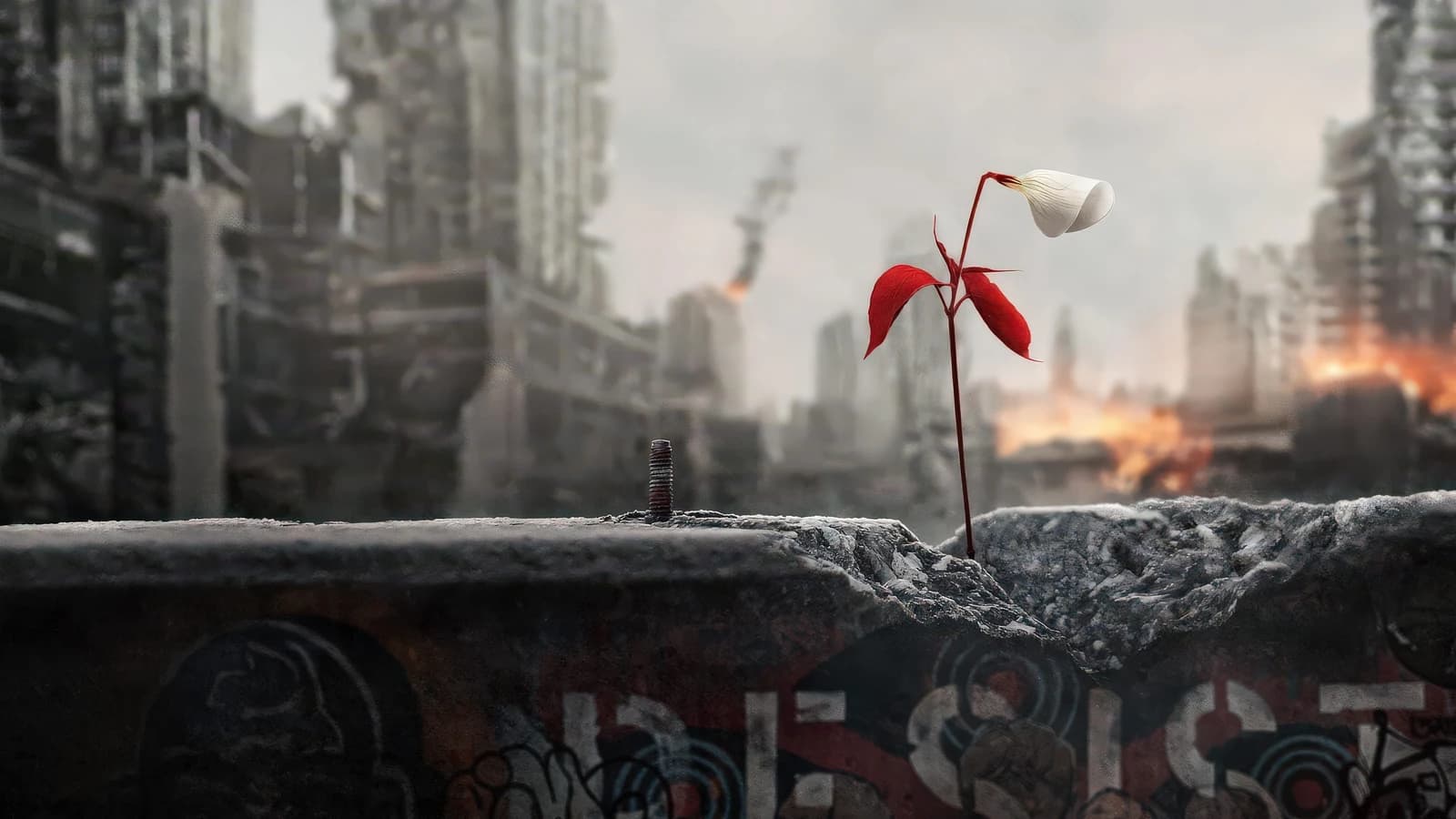 The Handmaid’s Tale Staffel 5: Start, Trailer, Handlung