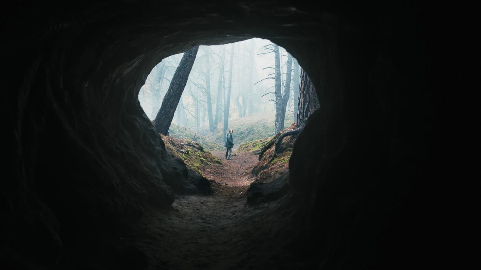 Dark Staffel 3: Review, Handlung, Trailer