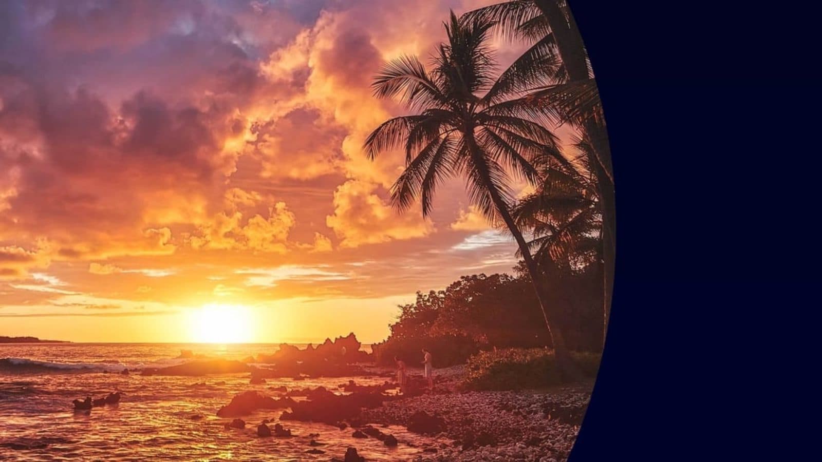 NCIS: Hawaii – Erscheinungsdatum, Trailer, Besetzung, Five-0-Crossover und alles was man wissen muss