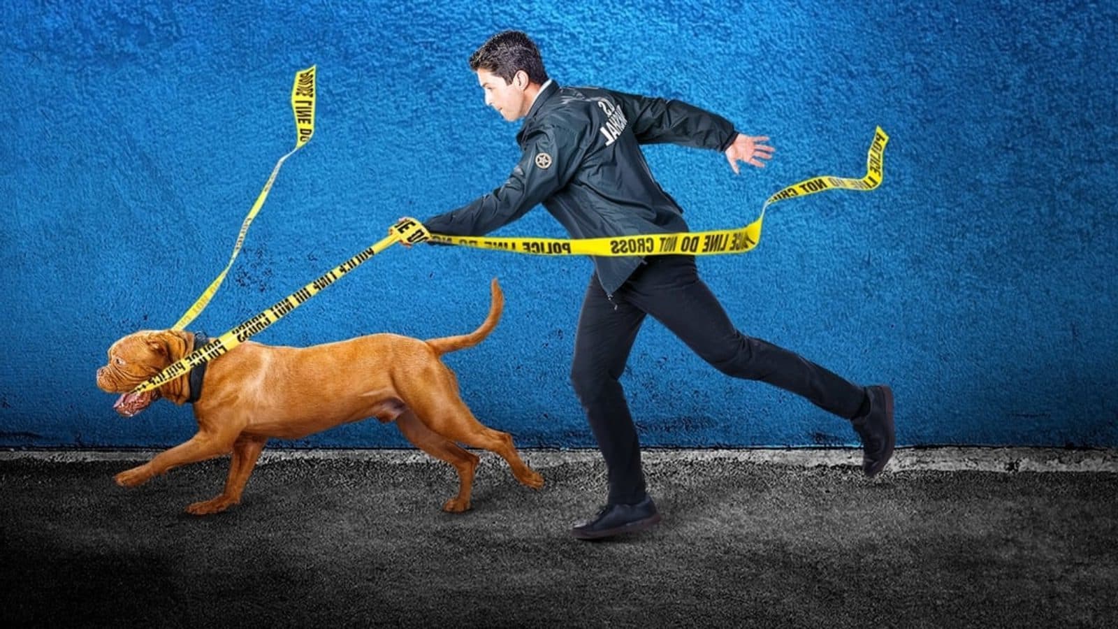 Scott & Huutsch Staffel 2: Wann kommt die zweite Staffel?