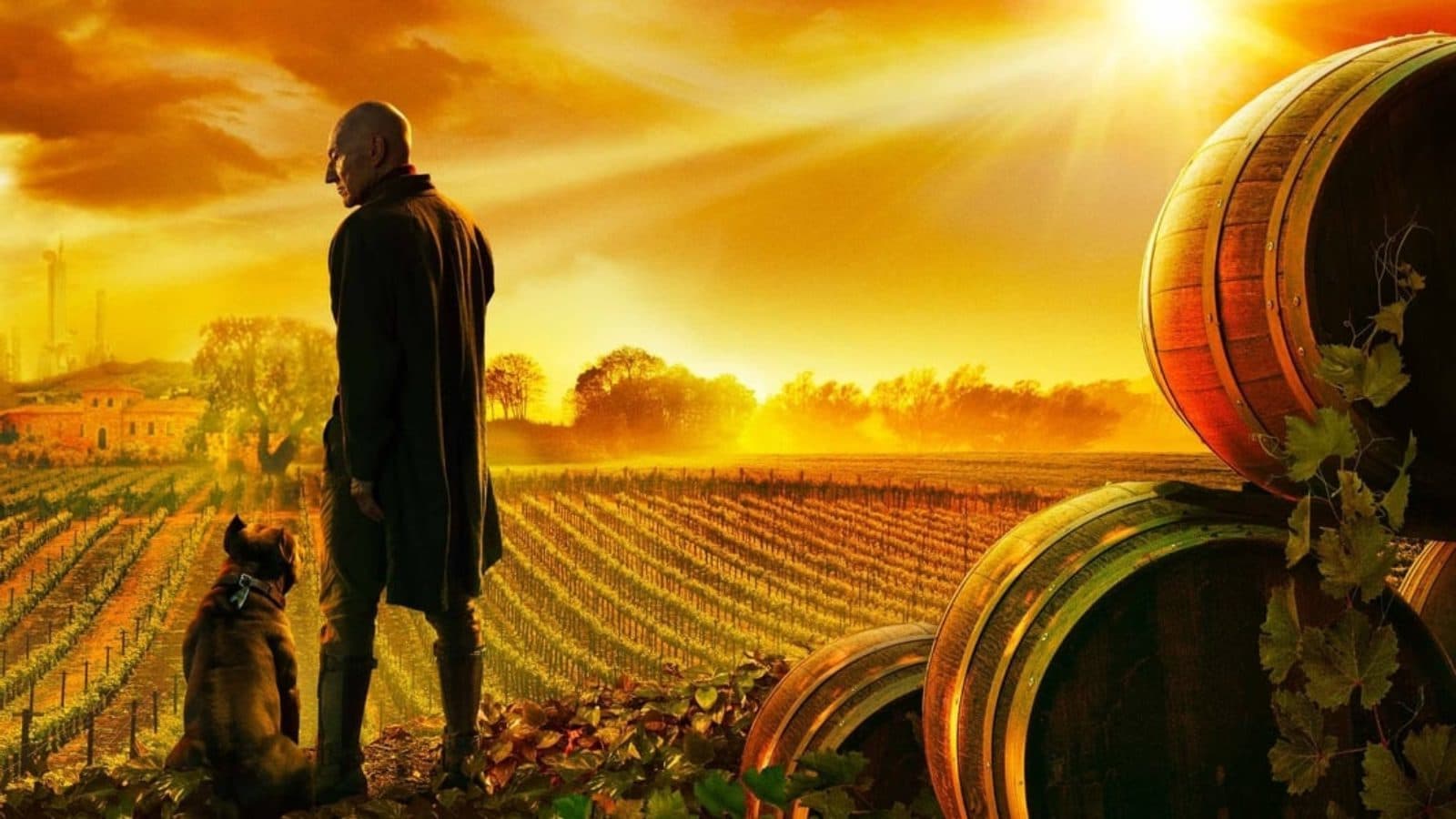 Star Trek: Picard Staffel 2: Start, Trailer, Handlung, Besetzung