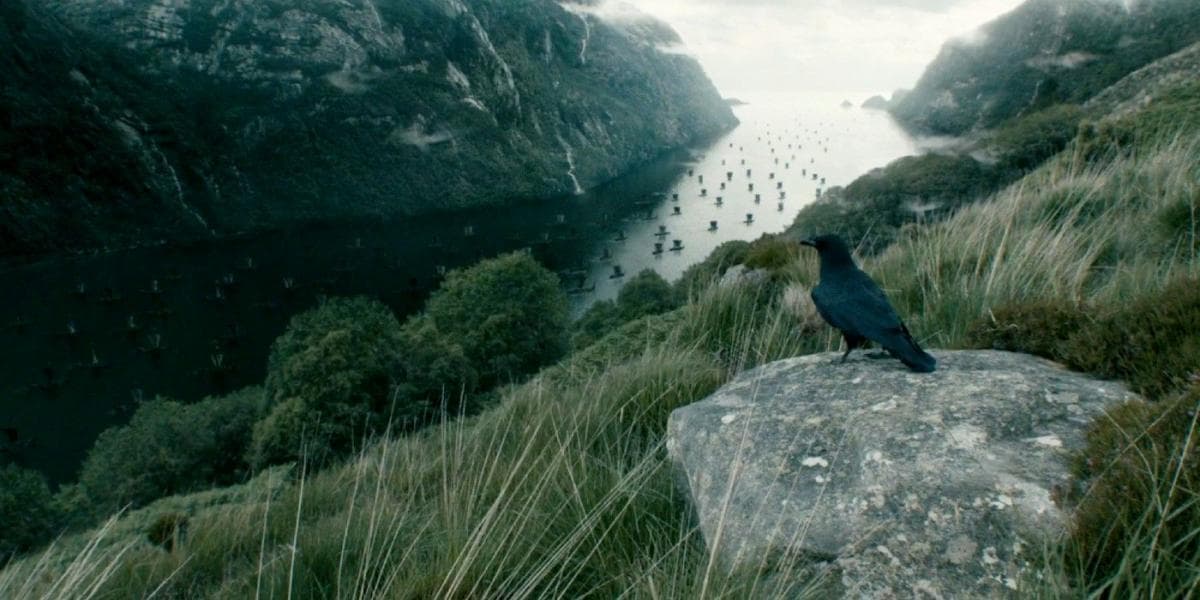 Warum es in Vikings so viele Raben gibt (& was sie bedeuten)