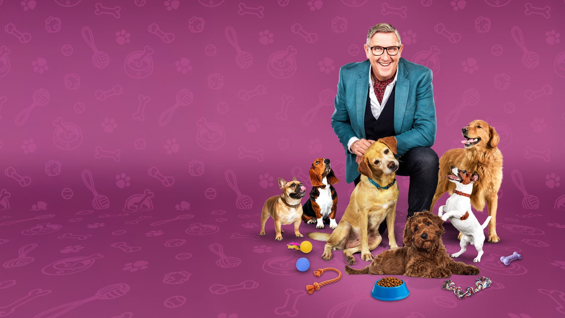Hunde außer Kontrolle