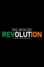 Die irische Revolution