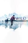 Wildes Skandinavien