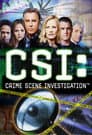 CSI - Den Tätern auf der Spur
