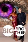 Big Brother