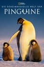 Die geheimnisvolle Welt der Pinguine