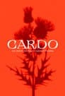 Cardo