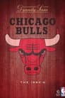 NBA Dynasty - Chicago Bulls