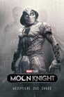 Marvels - Moon Knight