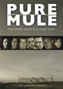 Pure Mule