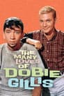 The Many Loves of Dobie Gillis