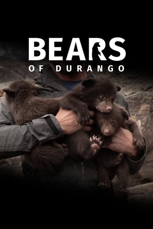 Poster von Bears of Durango