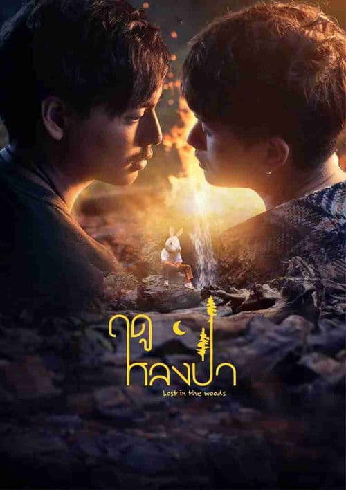 Poster von Lost in the Woods