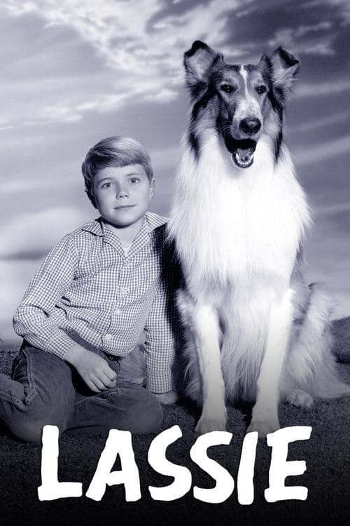 Poster von Lassie