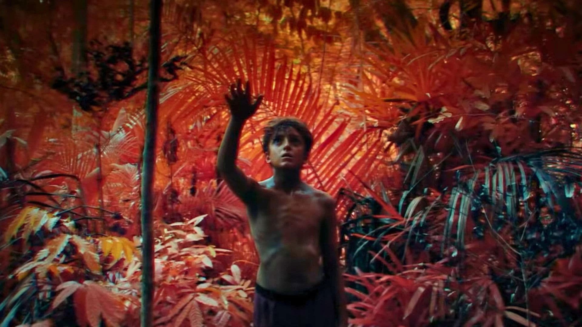 Kritiker nehmen Lord of the Flies ernst, und das hat konkrete Gründe