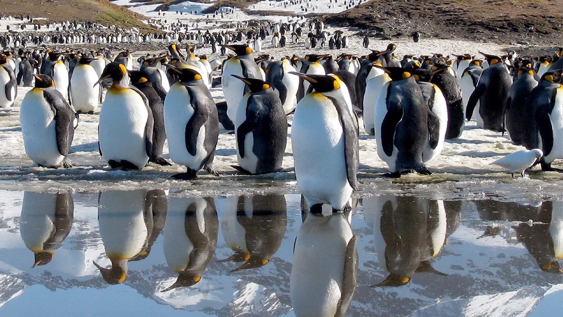 Life - Das Wunder Leben