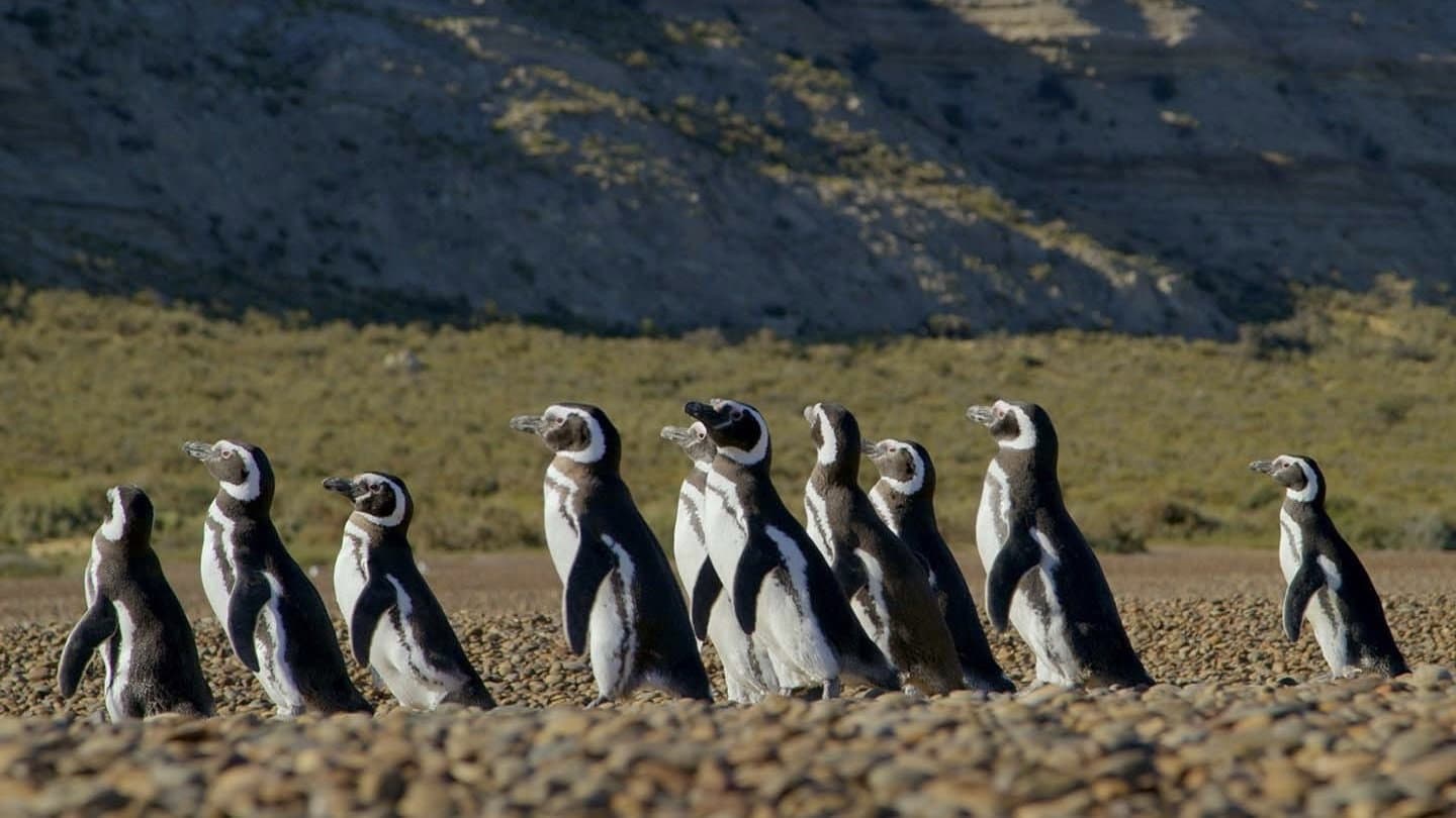 Itziar Ituño übernimmt Patagonia: ihre neue Rolle ist kaum zu fassen