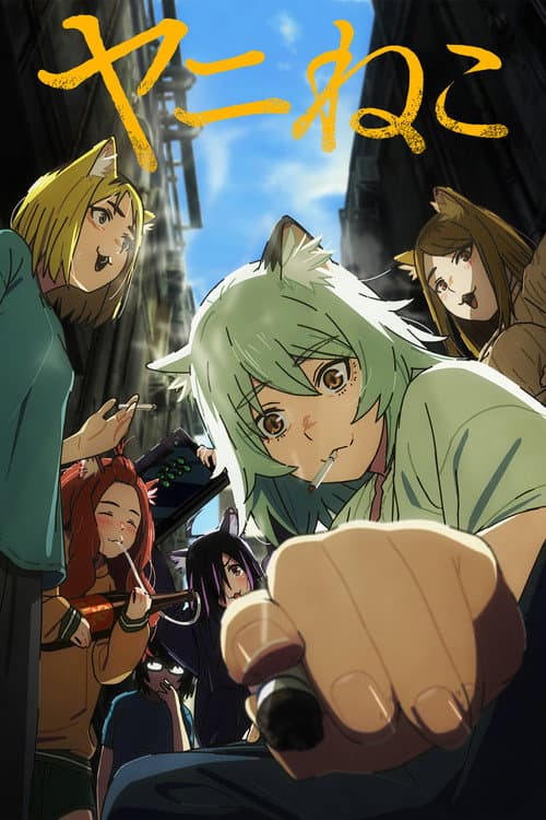 Poster von Chainsmoker Cat