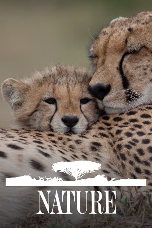 Poster von Nature
