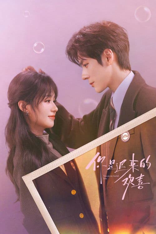Poster von 你是迟来的欢喜