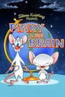 Pinky & der Brain