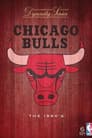 NBA Dynasty - Chicago Bulls