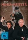 Der Ninja-Meister