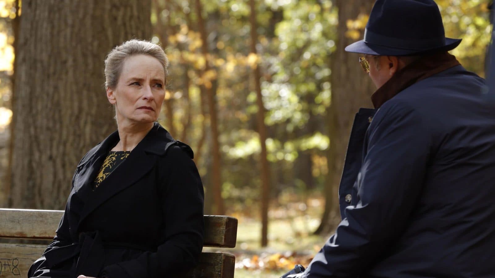 The Blacklist: 10 Dinge über Katarina Rostova die keinen Sinn ergeben