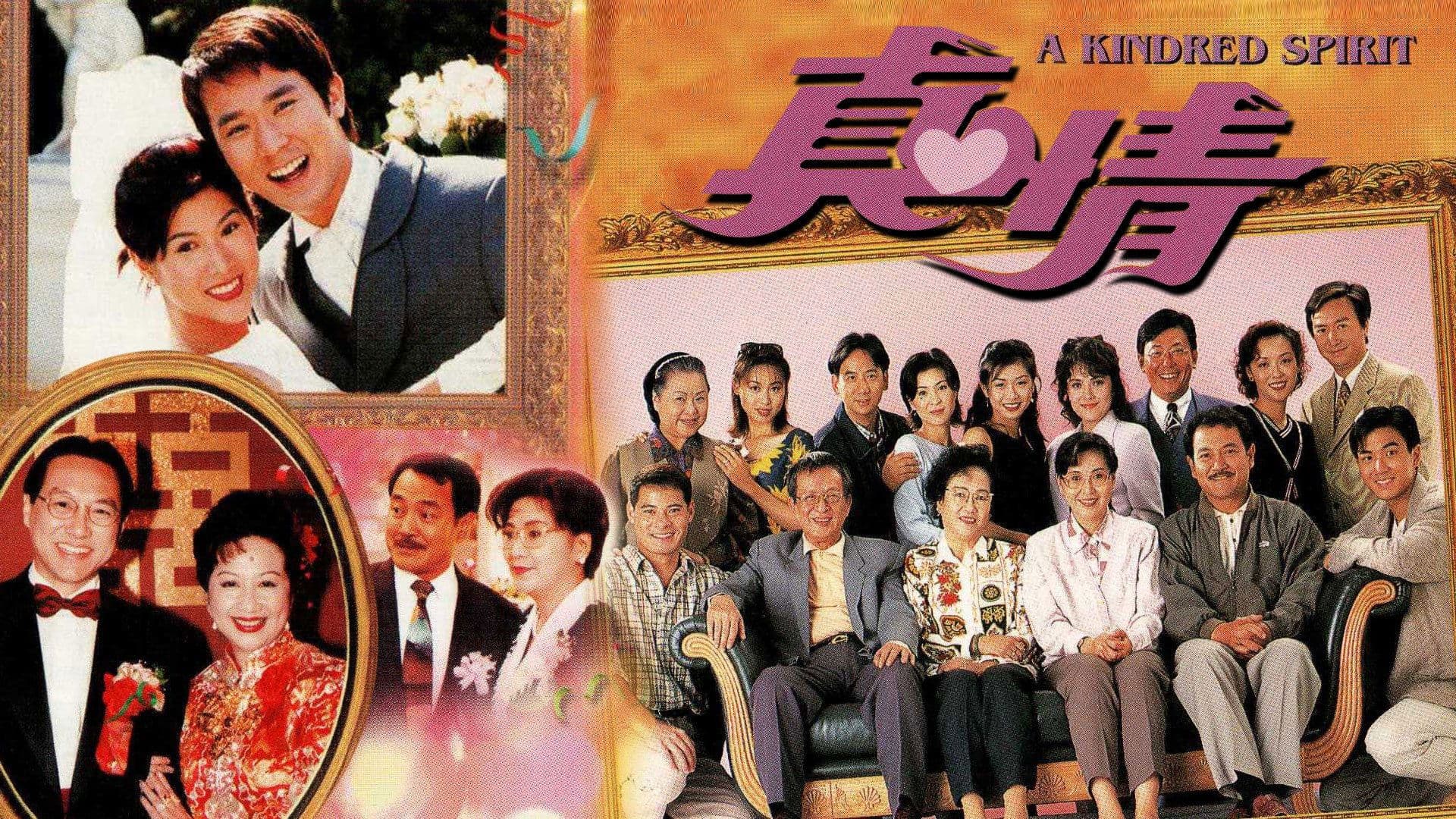 真情