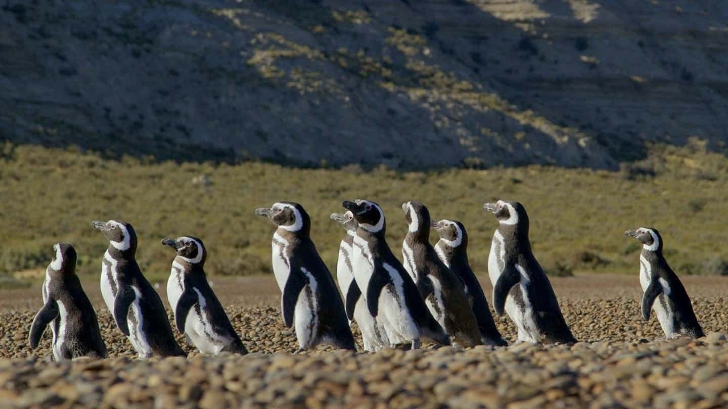 Itziar Ituño übernimmt Patagonia: ihre neue Rolle ist kaum zu fassen